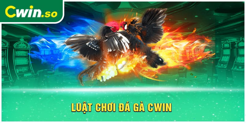 Luật chơi đá gà CWIN 