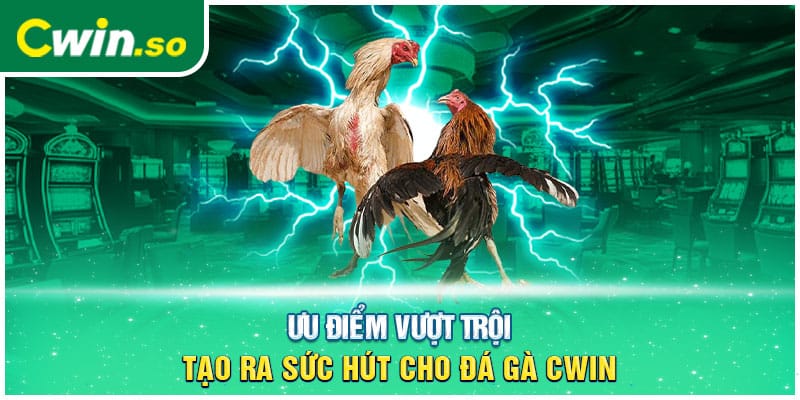 Ưu điểm vượt trội tạo ra sức hút cho đá gà CWIN