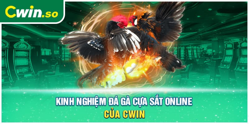 Kinh nghiệm đá gà cựa sắt online của CWIN